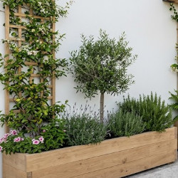 Treillis en bois dans le bac d'une jardinière en pin douglas massif